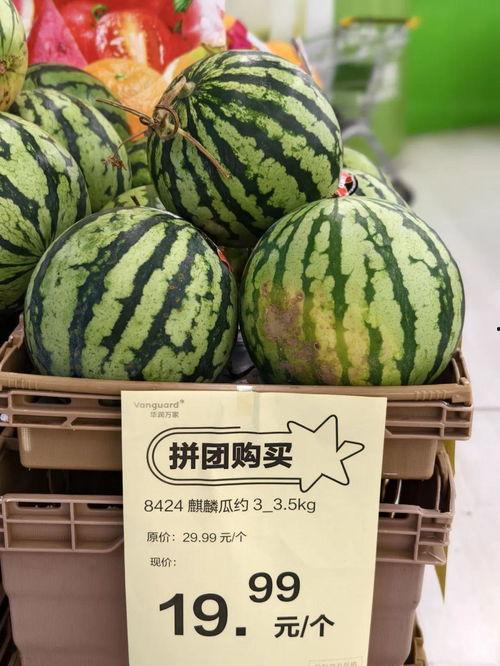 广州今日麒麟瓜批发价,品质佳价优，市场走俏”