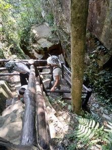 黑料吃瓜张家界视频