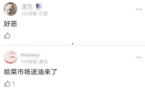 明星网红收入这么高,财富背后的秘密与启示