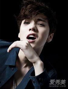 明星网红手帐店,潮流手帐背后的故事与魅力