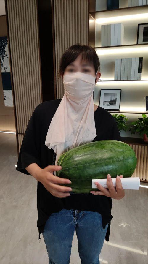 51cg今日大瓜热门大瓜往期内容,回顾往期热门大瓜，揭秘行业幕后故事