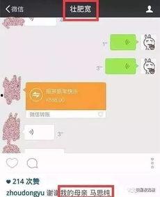 明星网红聊天记录,趣味互动与真实情感大曝光