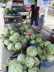 淄博吃瓜爆料事件真相揭秘,真相大白，还原事件全貌