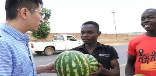 黑历史正能量吃瓜,吃瓜群众的成长日记