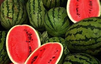 黑历史正能量吃瓜,吃瓜群众的成长日记