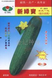 今日吊瓜最新价格行情,价格波动解析与最新走势一览