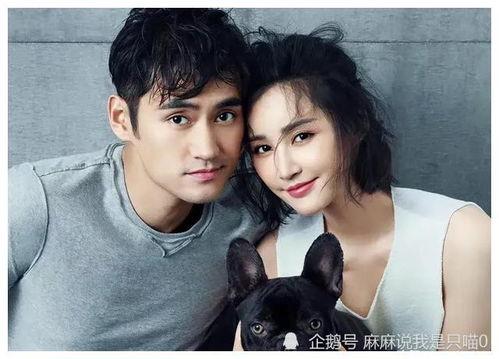 娱乐圈吃瓜爆料在线观看视频下载,吃瓜爆料视频下载，一网打尽明星幕后故事